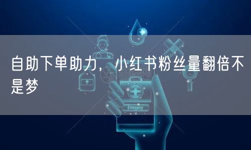 自助下单助力，小红书粉丝量翻倍不是梦