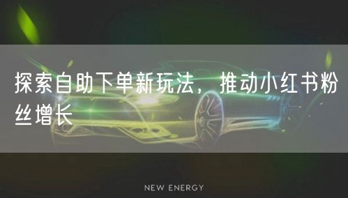 探索自助下单新玩法，推动小红书粉丝增长