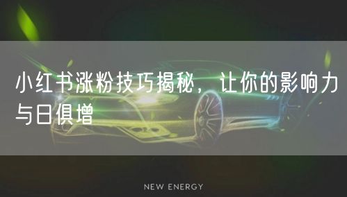 小红书涨粉技巧揭秘，让你的影响力与日俱增