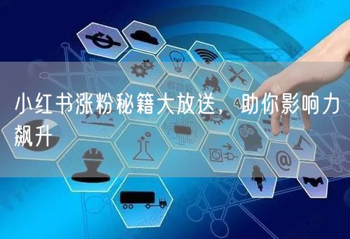 小红书涨粉秘籍大放送，助你影响力飙升