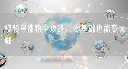 视频号涨粉全攻略，零基础也能变大咖