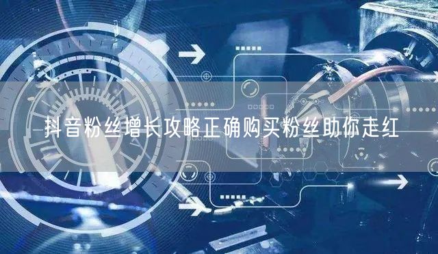 抖音粉丝增长攻略正确购买粉丝助你走红