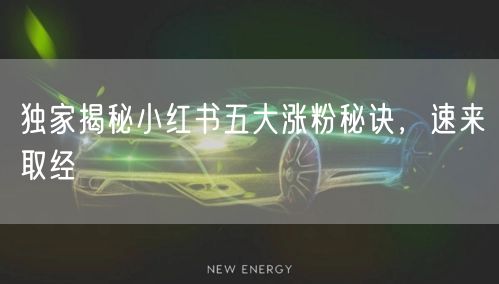 独家揭秘小红书五大涨粉秘诀，速来取经