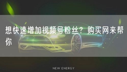 想快速增加视频号粉丝?购买网来帮你