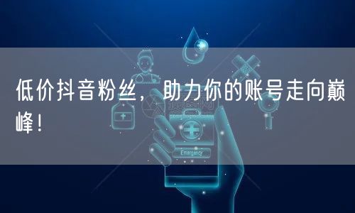 低价抖音粉丝，助力你的账号走向巅峰！